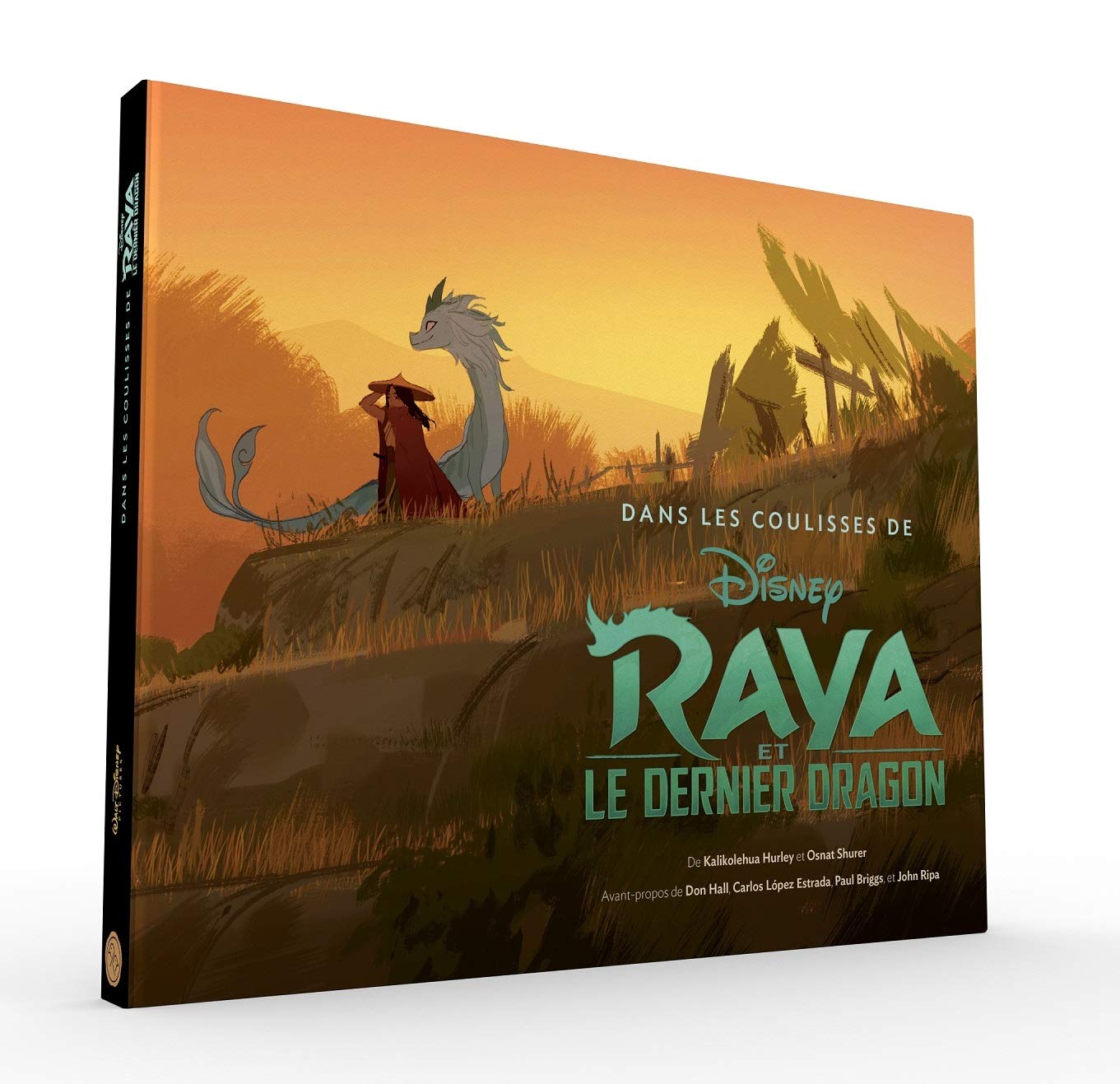 Traduction du livre Dans les coulisses de Raya et le dernier dragon Disney 